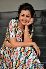 Nikki Galrani at Krishnastami Movie Success Meet
